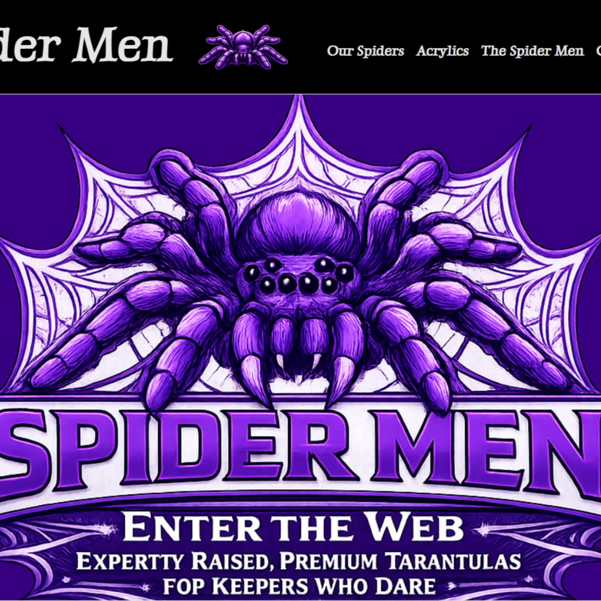 Homepage of fictional spider pet shop.